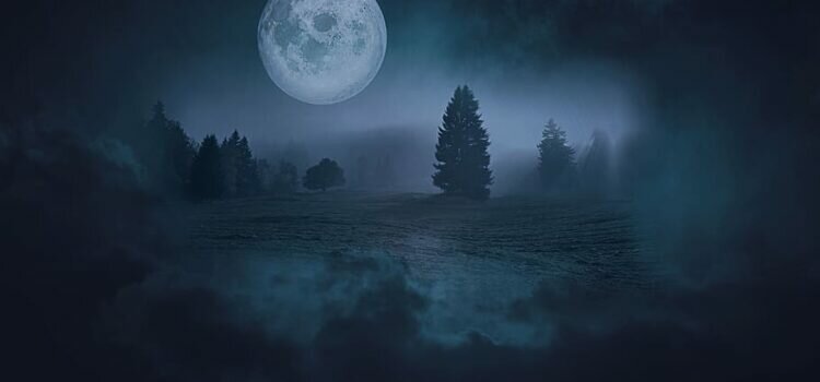 О чем говорит туман ночью О чем говорит туман ночью